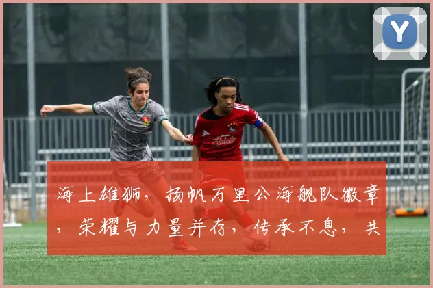 海上雄狮，扬帆万里公海舰队徽章，荣耀与力量并存，传承不息，共筑和平