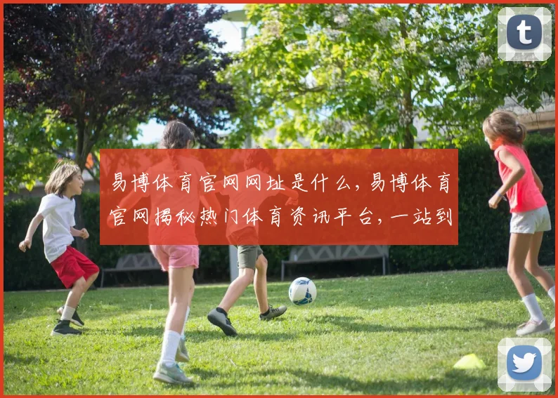 易博体育官网网址是什么,易博体育官网揭秘热门体育资讯平台,一站到底