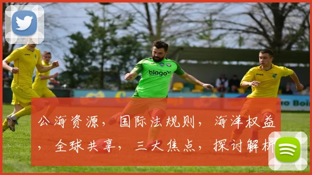 公海资源，国际法规则，海洋权益，全球共享，三大焦点，探讨解析
