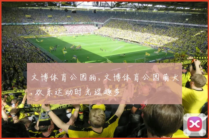 文博体育公园狗,文博体育公园萌犬,欢乐运动时光逗趣多